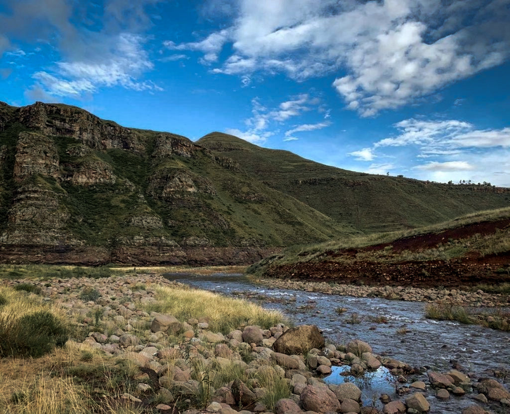 LOOKING FOR LESOTHO YELLOWS