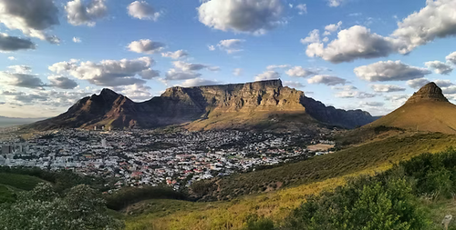 Friends of Table Mountain