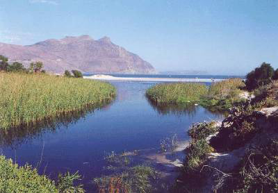 Friends of the Rivers of Hout Bay